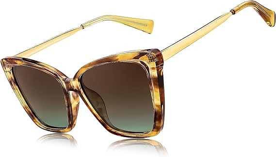 FEISEDY Trendy Polarized Women Sunglasses, Retro Womens Square Cat Eye Sun Glasses B4134