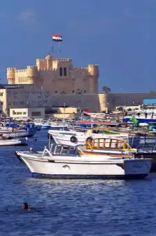 Alexandrona