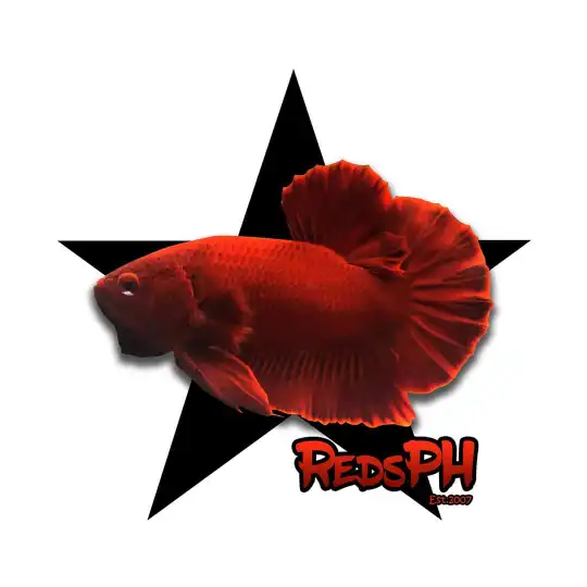 Reds PH