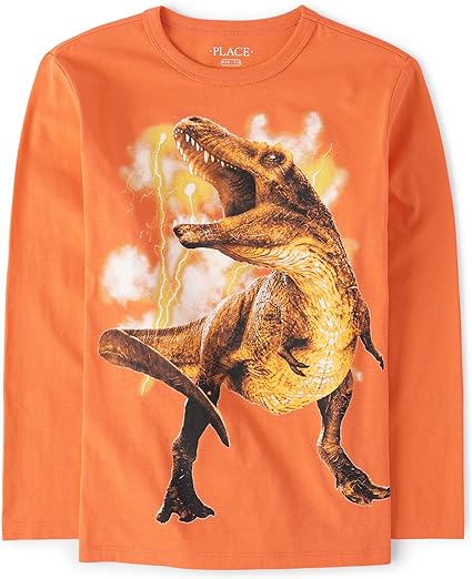 The Children's Place Baby Boys Long Sleeve Graphic T-Shirt