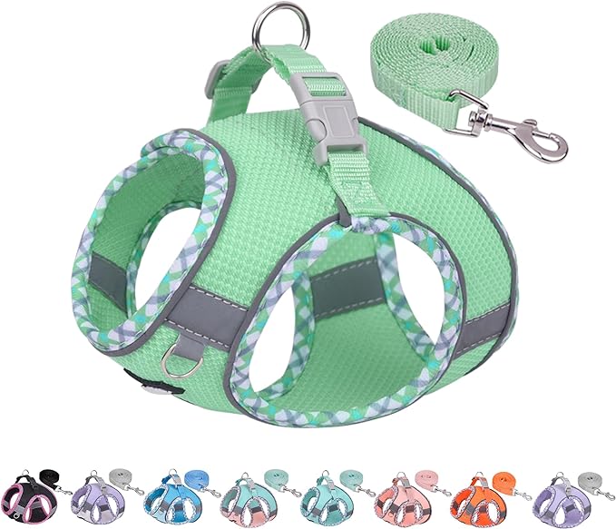 AIITLE Durable Dog Harness and Leash Set for Walking, Step in Vest Harness, Reflective Bands, Soft Breathable Pet Supplies, for Extra Small Dogs and House Cats Sage XXXS