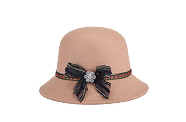 Fashionable women's hat