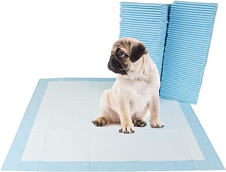 BV Pet Potty Training Pads for Dogs Puppy Pads, Pee Pads, Quick Absorb, 22" x 22" Training Pad, 100 Count Dog Pee Pads, Doggie Pads, Disposable Puppy Pee Pads