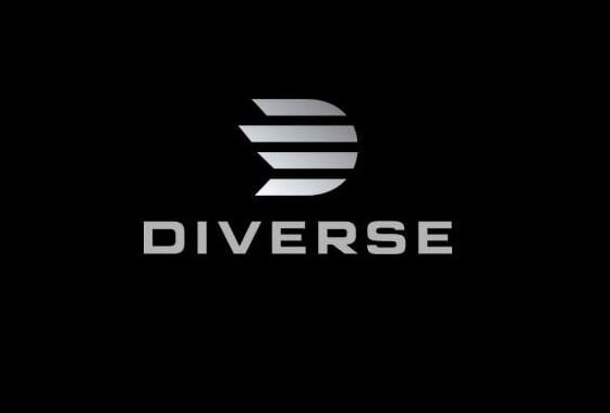 Diverse Store