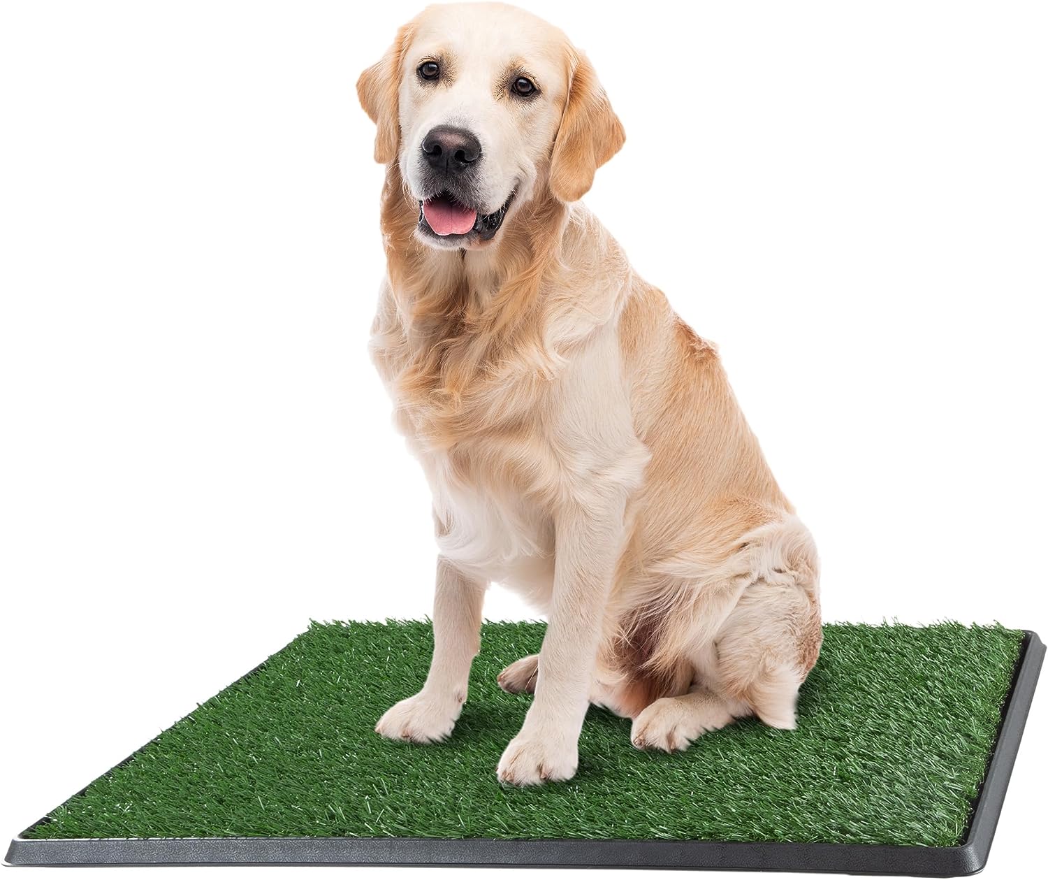 Artificial Grass Puppy Pee Pad for Dogs and Small Pets - 20x30 Reusable 3-Layer Training Potty Pad with Tray - Dog Housebreaking Supplies by PETMAKER