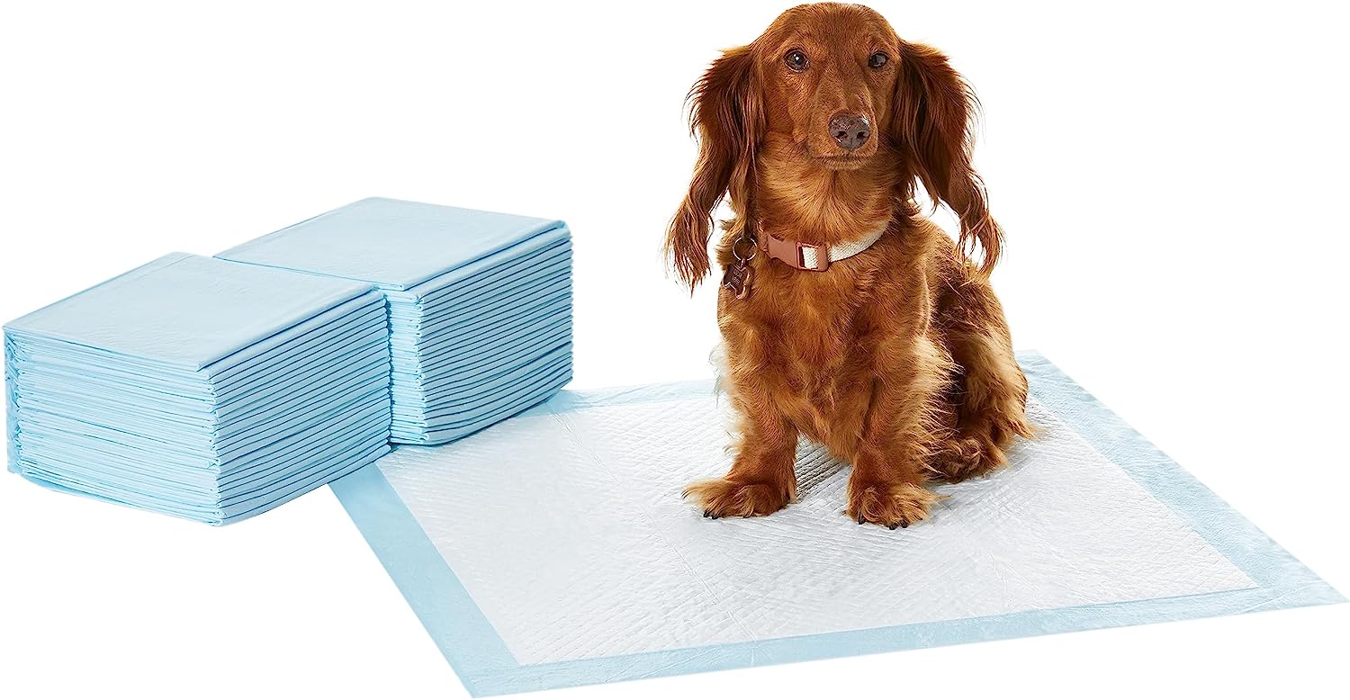 Amazon Basics Dog and Puppy Pee Pads with 5-Layer Leak-Proof Design and Quick-Dry Surface for Potty Training, Standard Absorbency, Regular Size, 22 x 22...