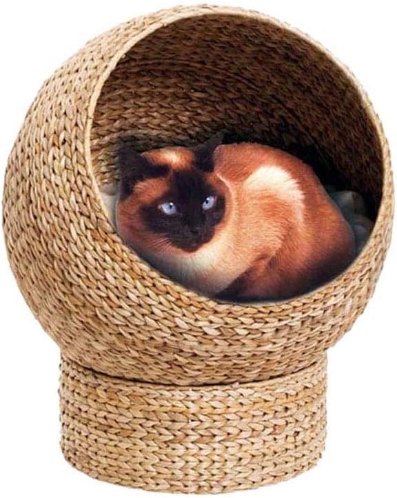 Banana Leaf Summer Cat Bed Cat Climbing Frame Four Seasons Universal Natural Environmental Cat House Pet Nest Pet Supplies