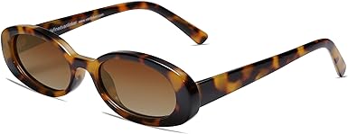 VANLINKER Polarized Retro Oval Sunglasses for Women and Men Small 90s Style VL9580